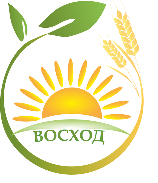 ООО 