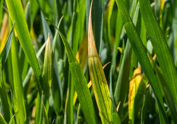 691f165eb3550088977465.jpg