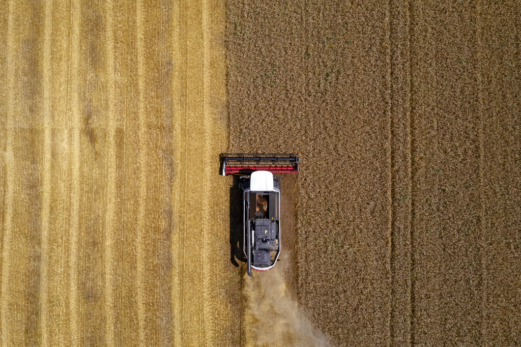 DJI_0563 (1).jpg